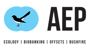 AEP